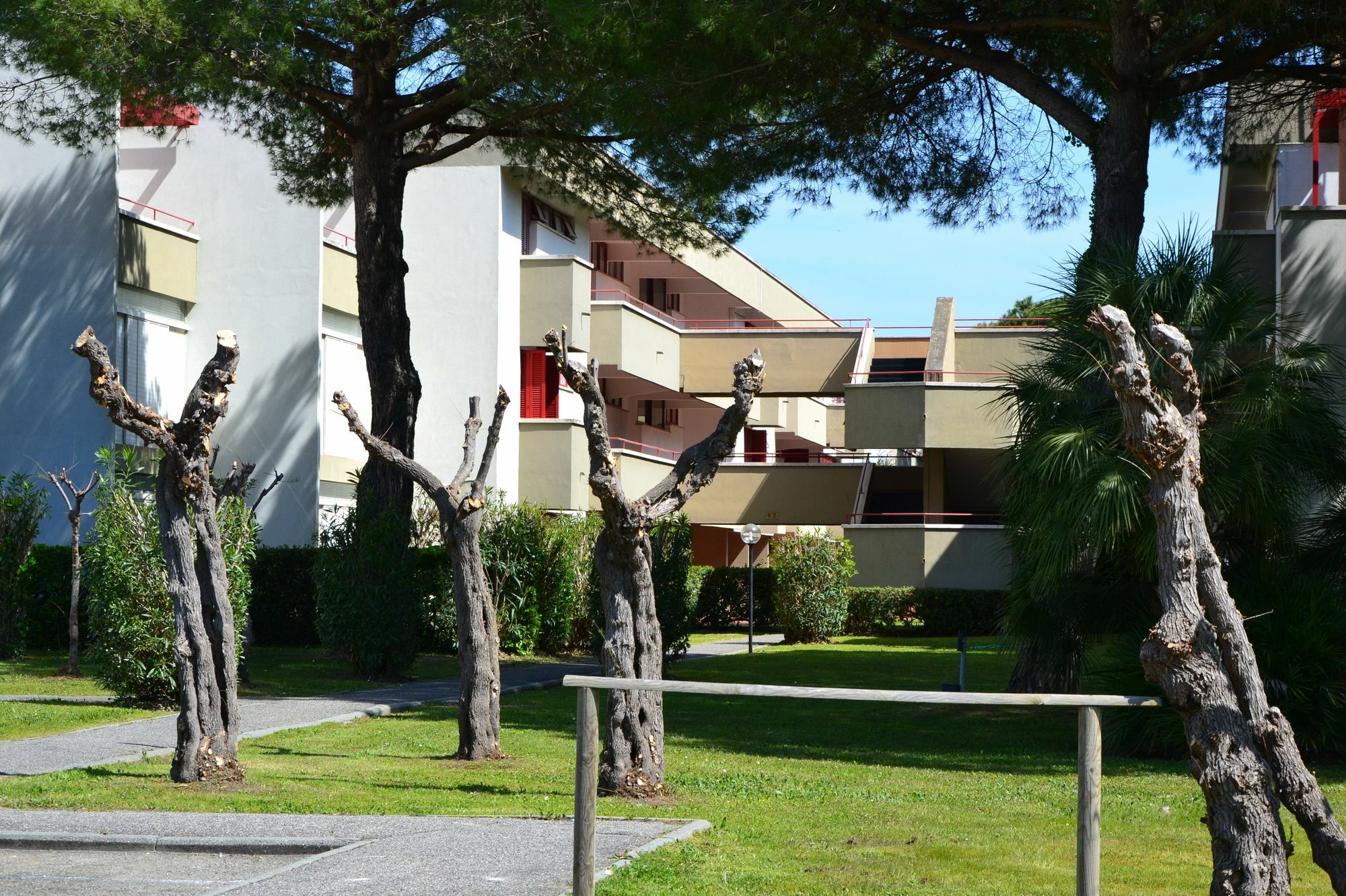 Apartments Via Dei Platani Marina Di Bibbona Buitenkant foto